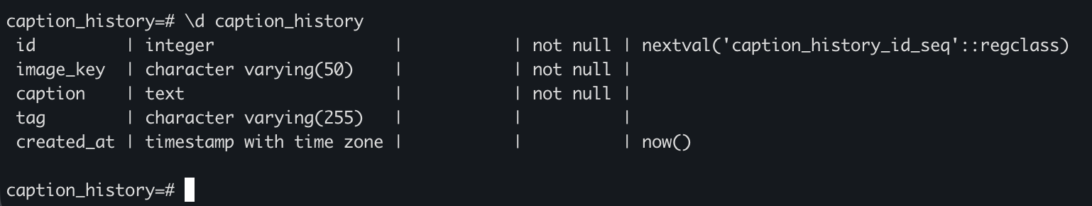 psql \d caption_history output showing id, image_key, caption, tag, and created_at columns with their constraints