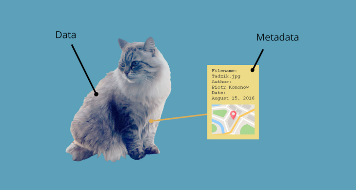 A cat photo labeled Data, with an arrow pointing to a yellow sticky note labeled Metadata containing filename, author, date, and location fields