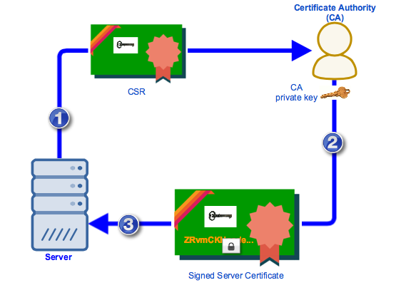 Diagram of a Certificate Authority signing a CSR into a Signed Server Certificate for a server
