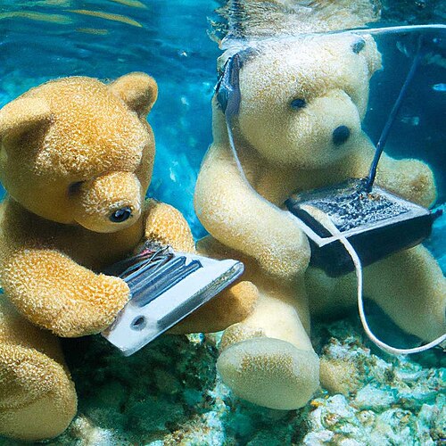 DALL-E 2 generated image of two teddy bears scuba diving underwater with vintage cameras